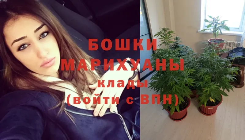 МЕГА ССЫЛКА  Знаменск  Марихуана конопля  как найти закладки 